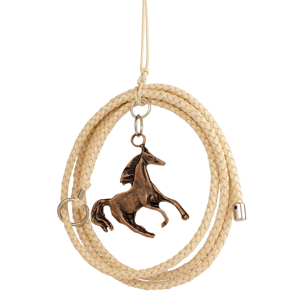 Rearview Mirror Lasso in Horse